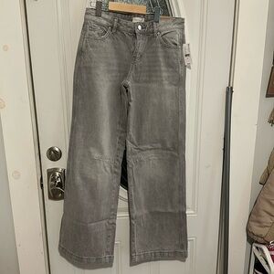 Pacsun Casey Low Rose Baggy Jeans-Size 25